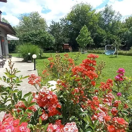 ореха