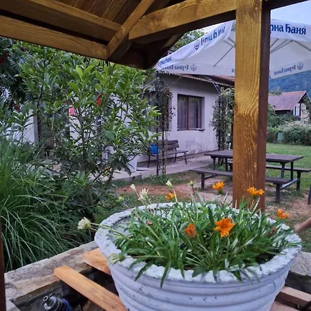 Villa ореха *