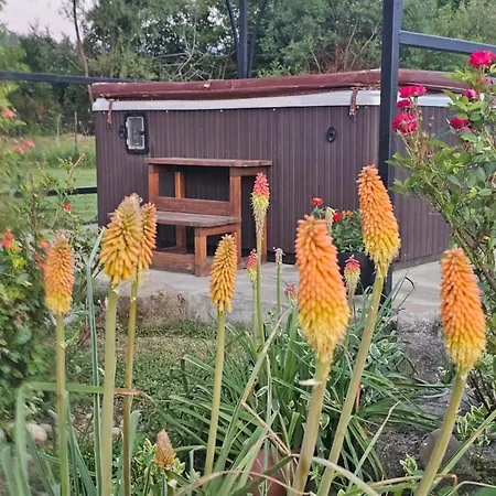 ореха * Apriltsi (Lovech)