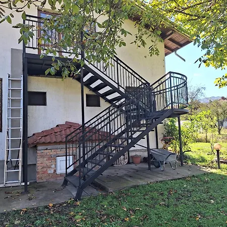 Vila ореха